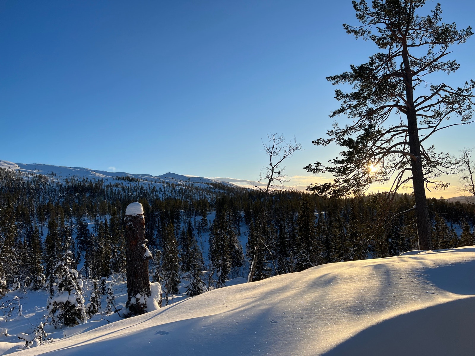 Utsikt fra hytta Galleribilde