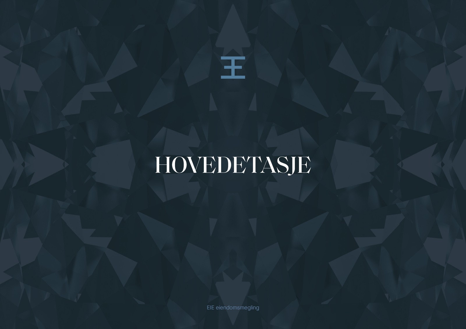 Hovedetasje Galleribilde