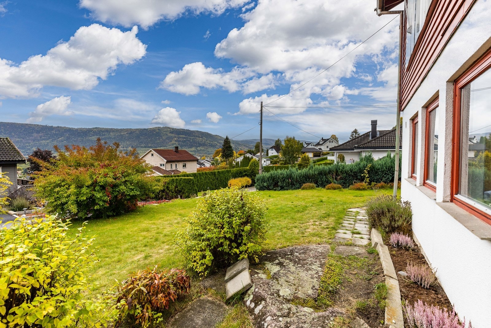 Variert hage med plen, berg og div busker Galleribilde