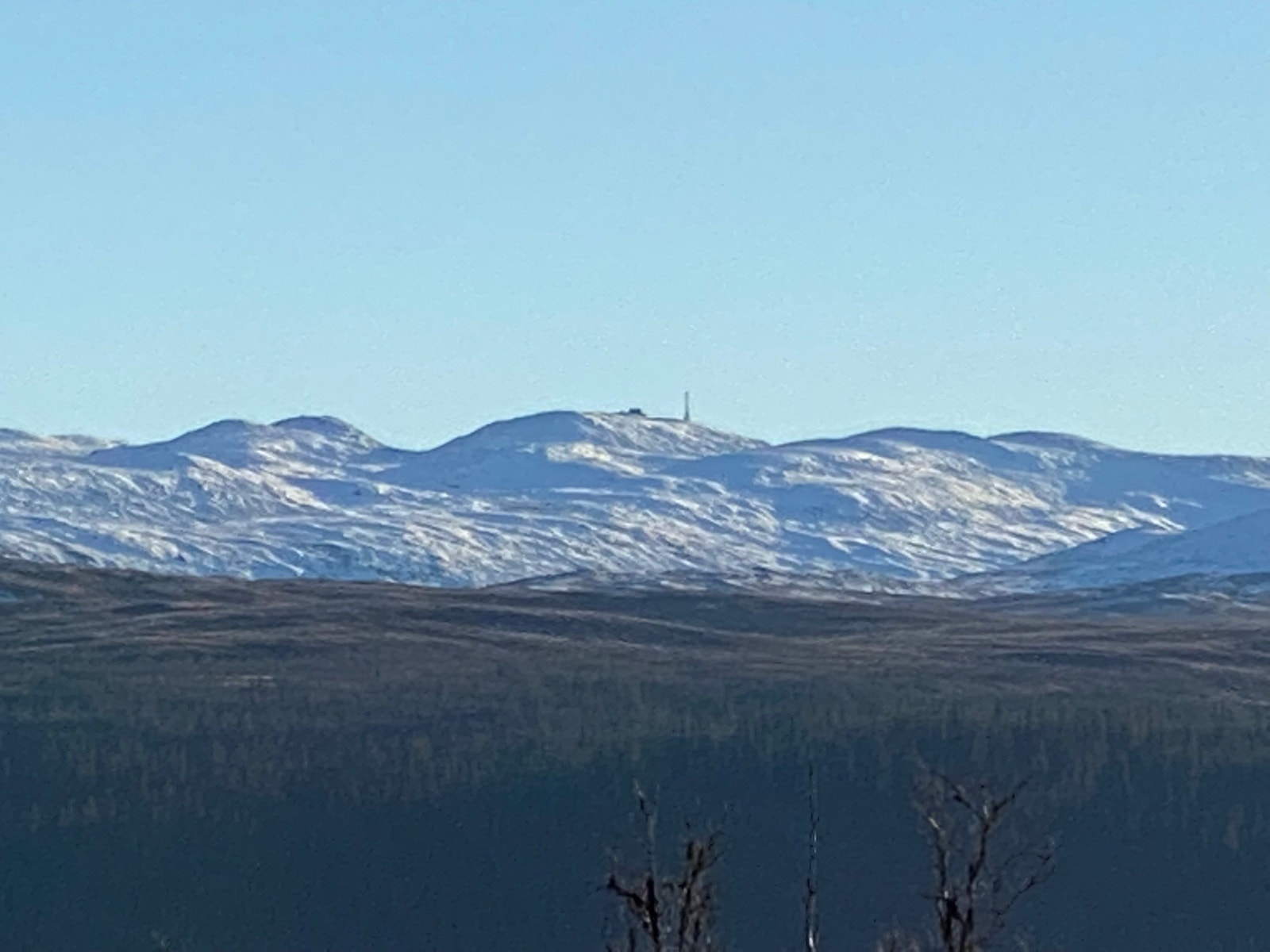 Kort vei til fjells. Spåtind 1414 moh. Galleribilde