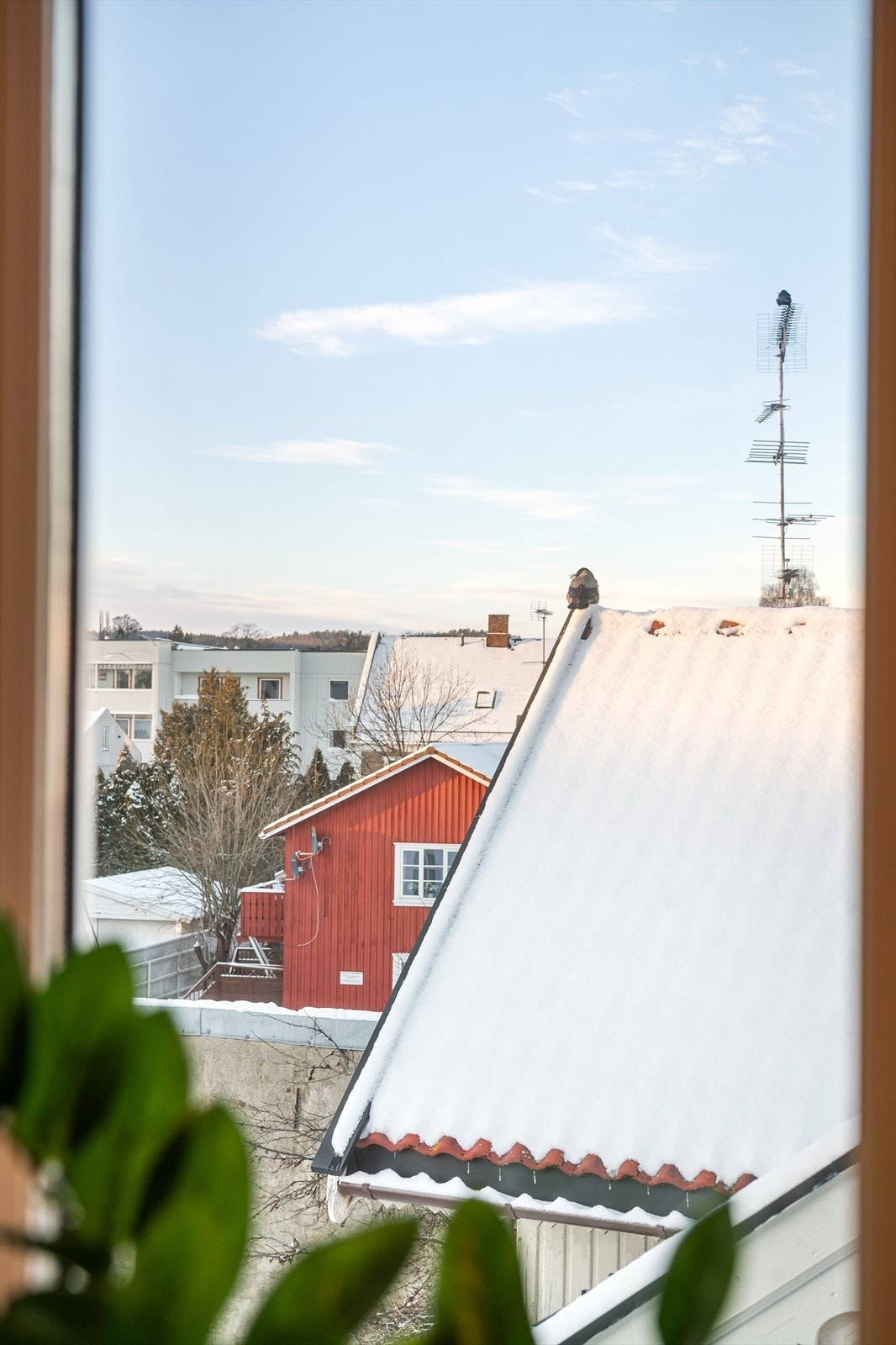 De store vindusflatene ut mot Bekkegata gir rikelig med lysinnslipp. Galleribilde