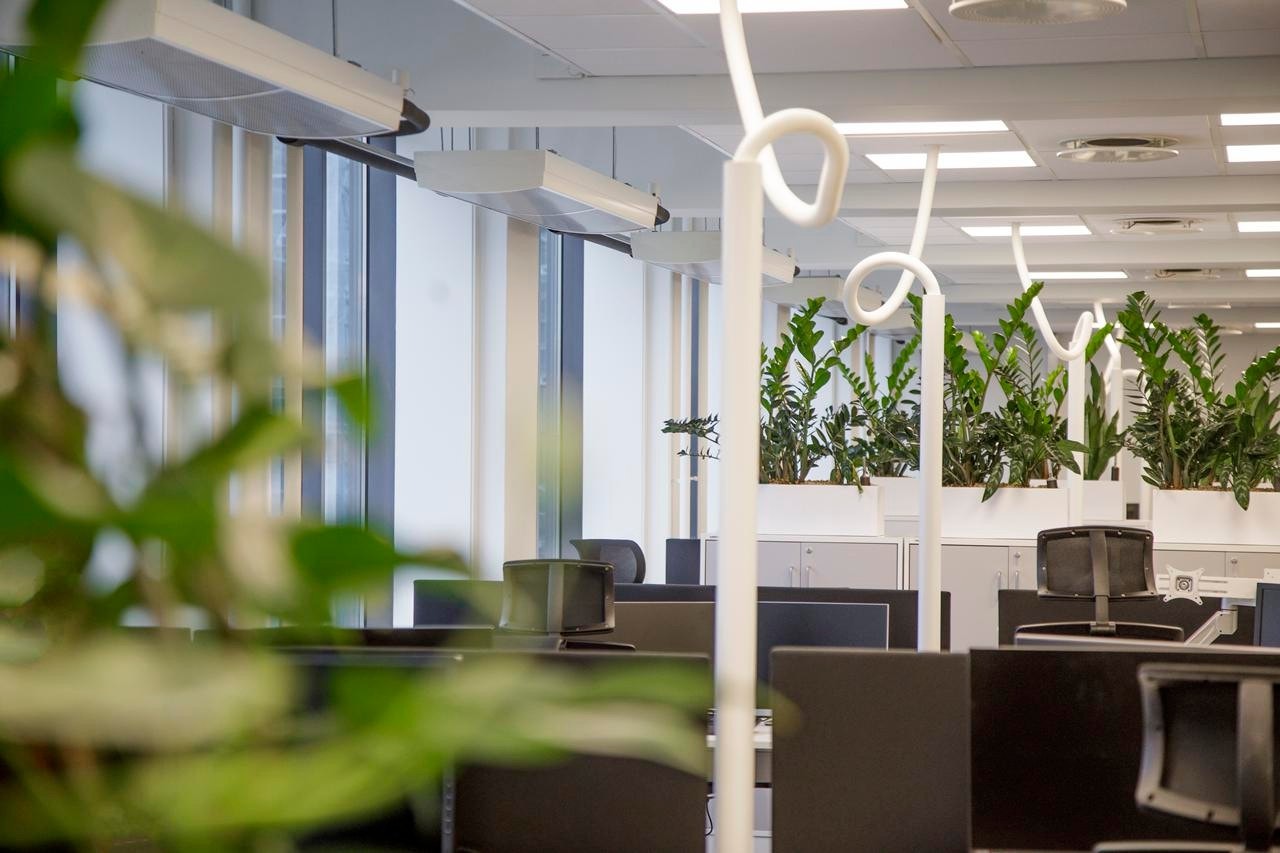 Åpent kontorlandskap Galleribilde