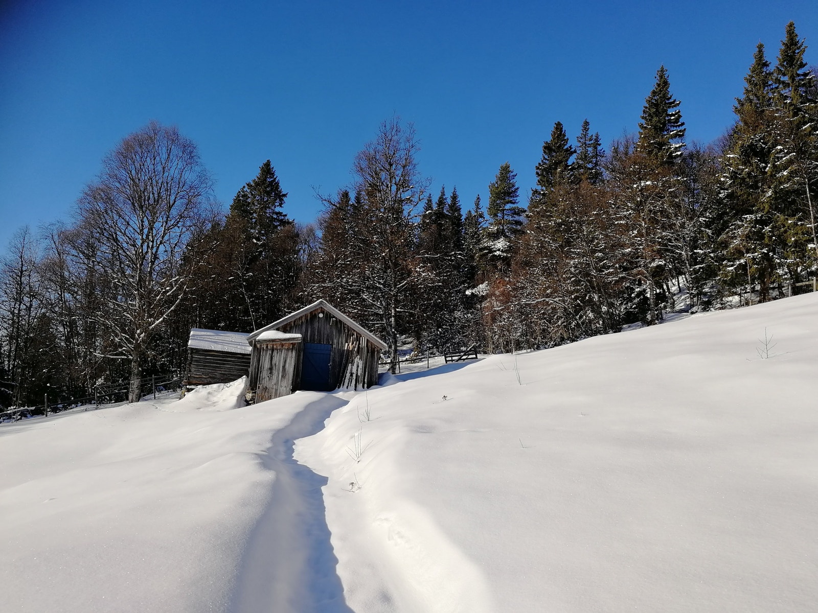 Fjøset på setra, tråkket skispor til snaufjellet like overfor med oppkjørt løypenett innover vidda og fjellet. På vindfylte dager er uværsløpa et godt altrenativ, i lavere terreng langs skogholtet. Bildet tatt februar 2022 Galleribilde