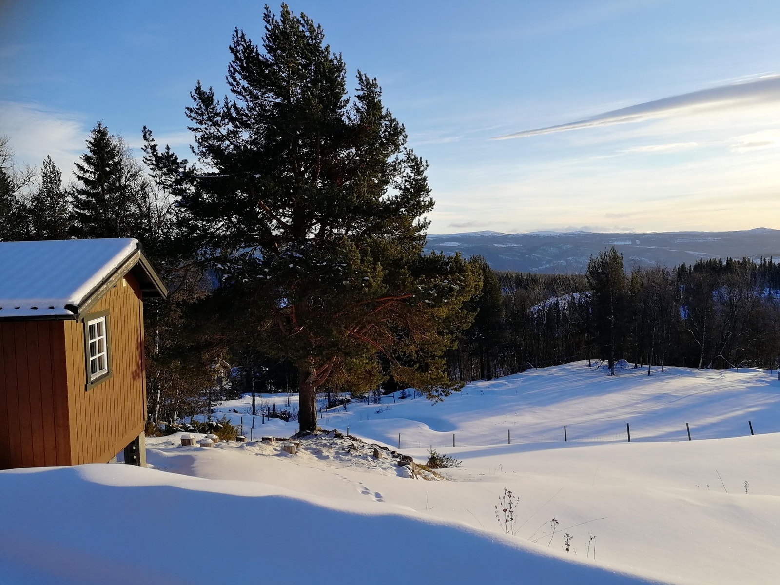 Bakke med mulighet for aking og skilek rett utenfor hytta. Gøy for store og små! Galleribilde