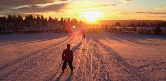 Milevis av oppkjørte skispor til både skøyting og klassisk. Lysløype finnes også Galleribilde
