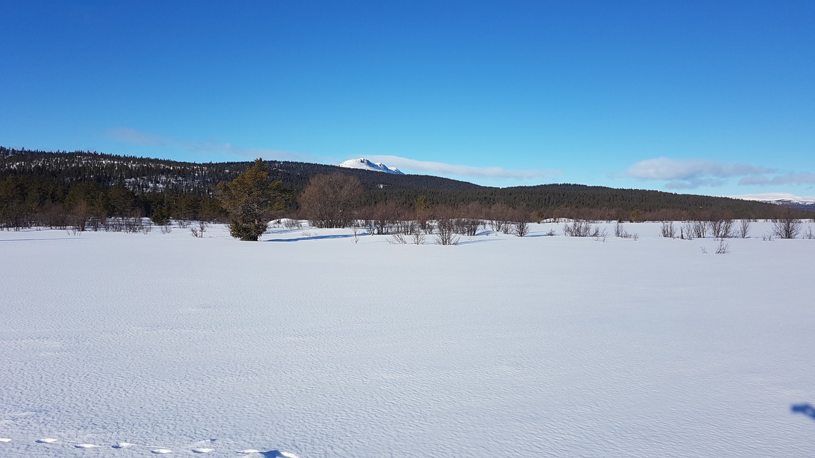Vinterstemning Galleribilde