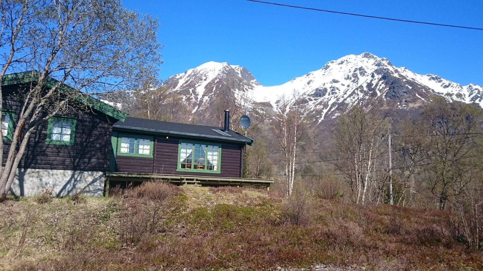 Ett bilde Våren. Galleribilde