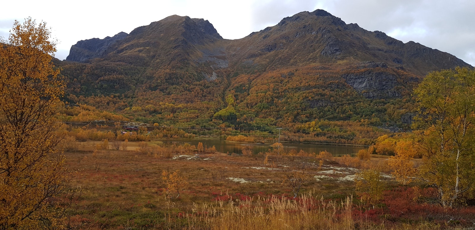 Nærområde/Utsikt Galleribilde