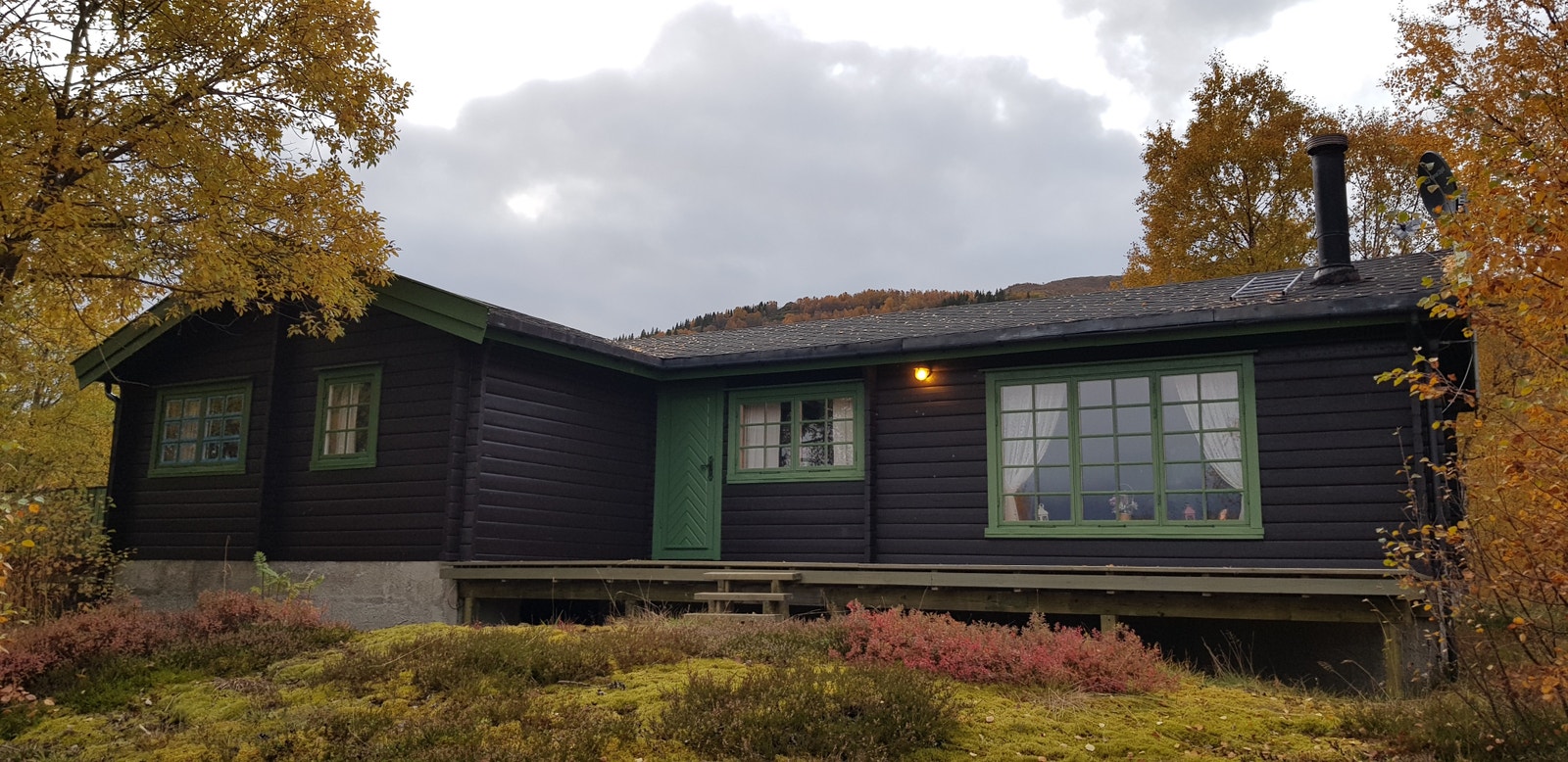 Høst Galleribilde
