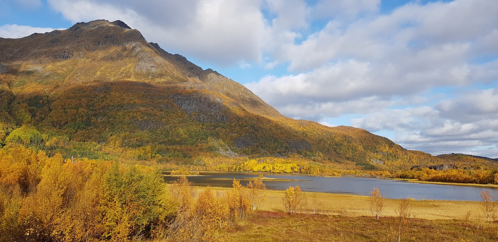Nærområde/Utsikt Galleribilde