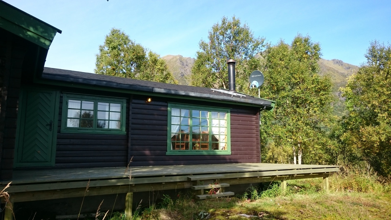 Sommer Galleribilde