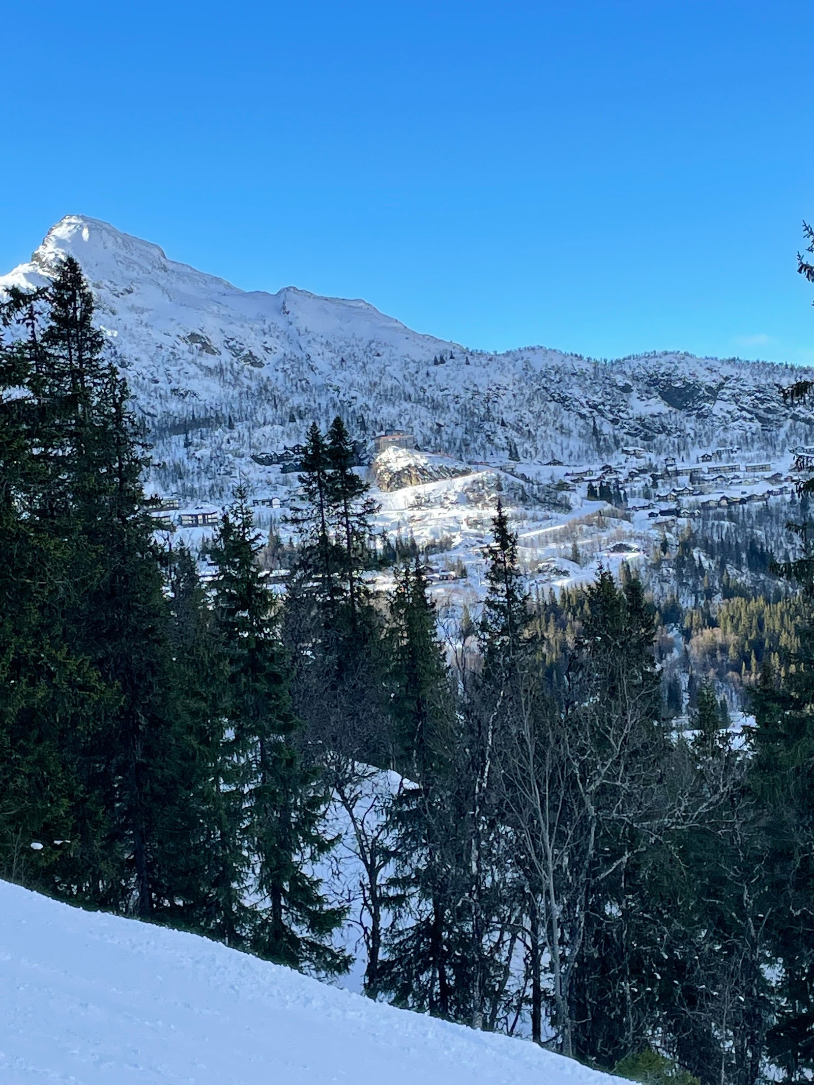 Fjelltoppen bak er Skarsnuten. Bildet tatt fra skianlegget Galleribilde