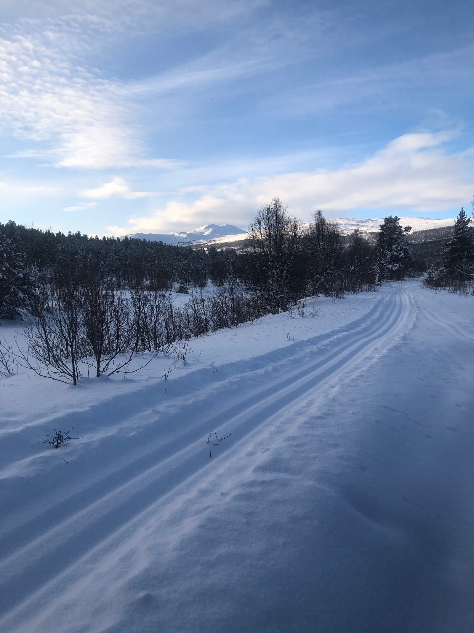 Dagens snøbilde 17/2-22. Galleribilde