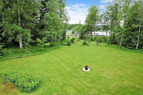 Hage med egen liten skog Galleribilde