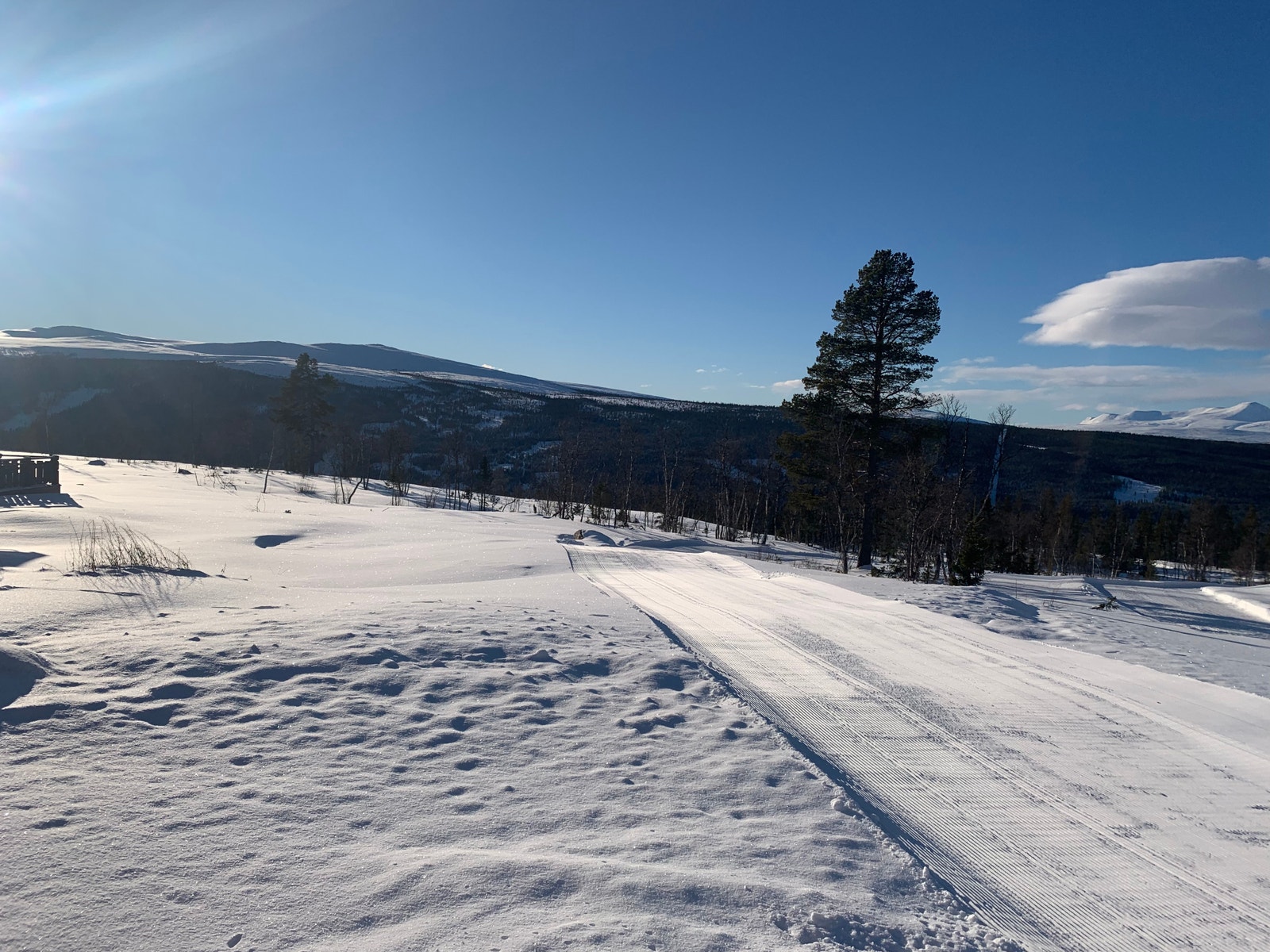 En av akebakke i feltet. Galleribilde