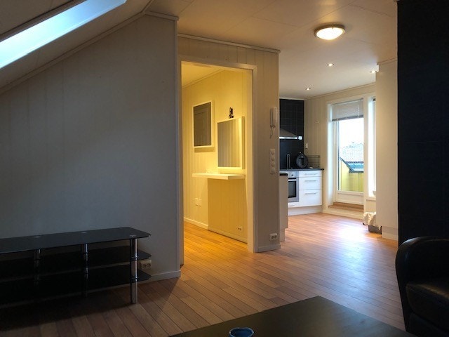 Romslig løsning med stue og kjøkken Galleribilde