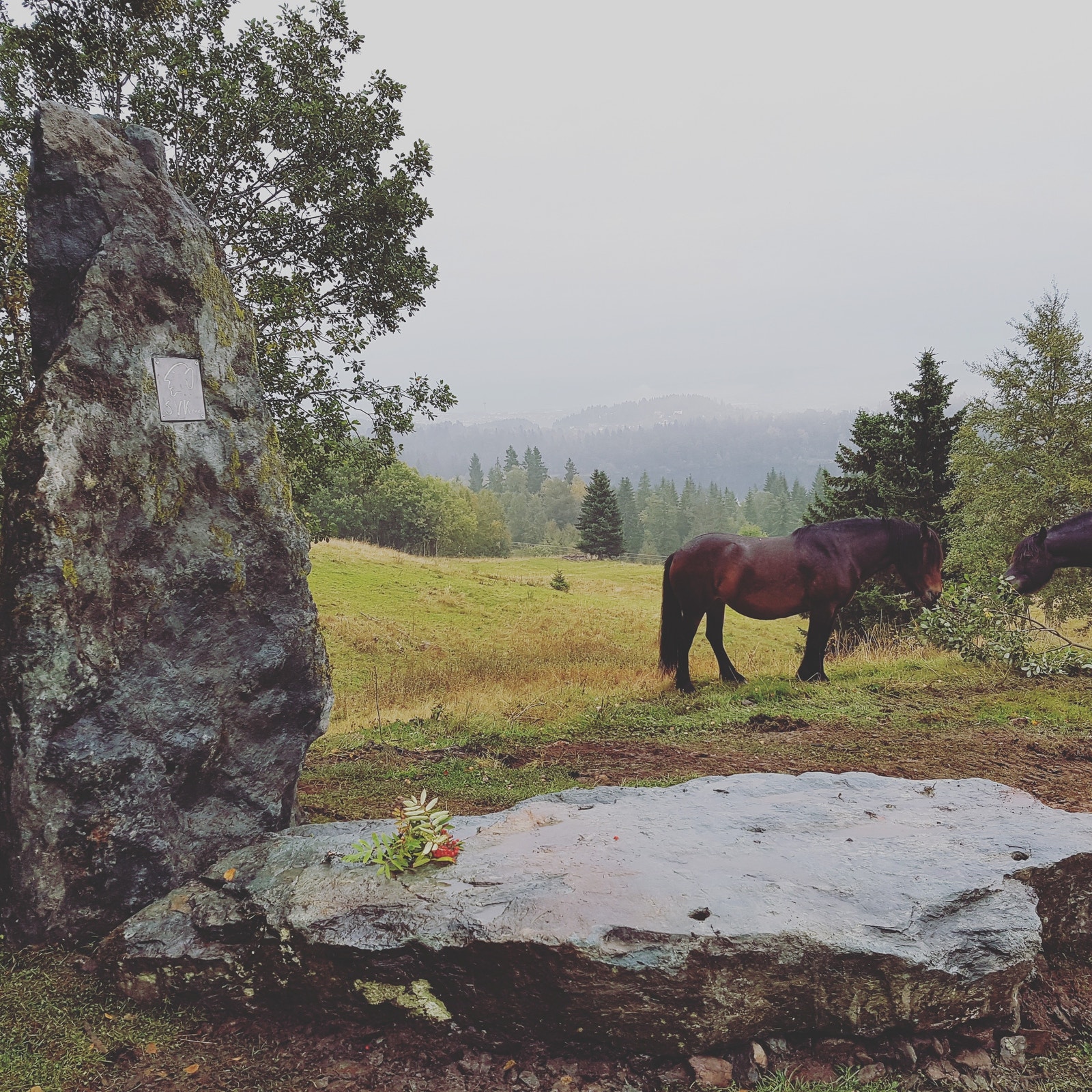 På Lianjordene kan du nyte utsikten over Trondheim Galleribilde