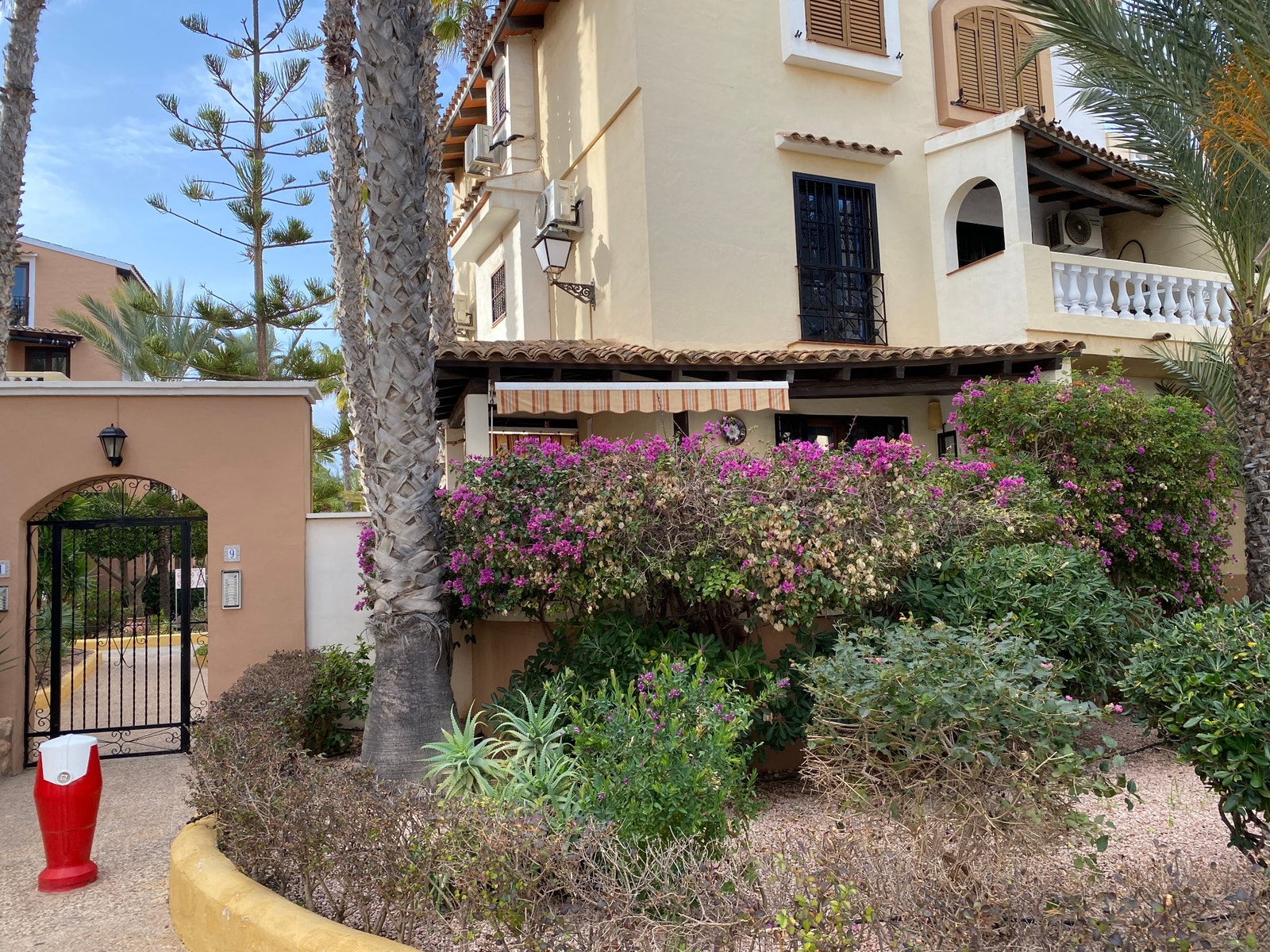 Flotte områder m/mye palmer og grønt inne på området flott og gå rundt og se. Galleribilde