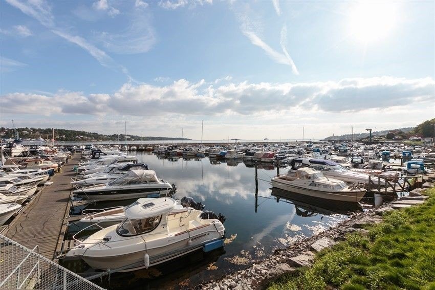 Ved sjøen Galleribilde