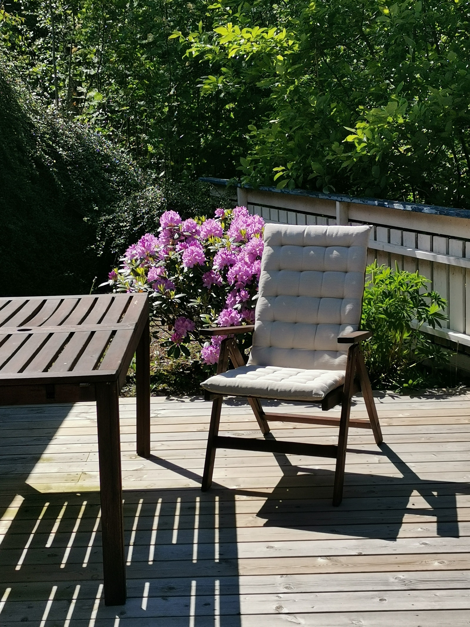 Her kan man nyte solen på late sommerdager Galleribilde