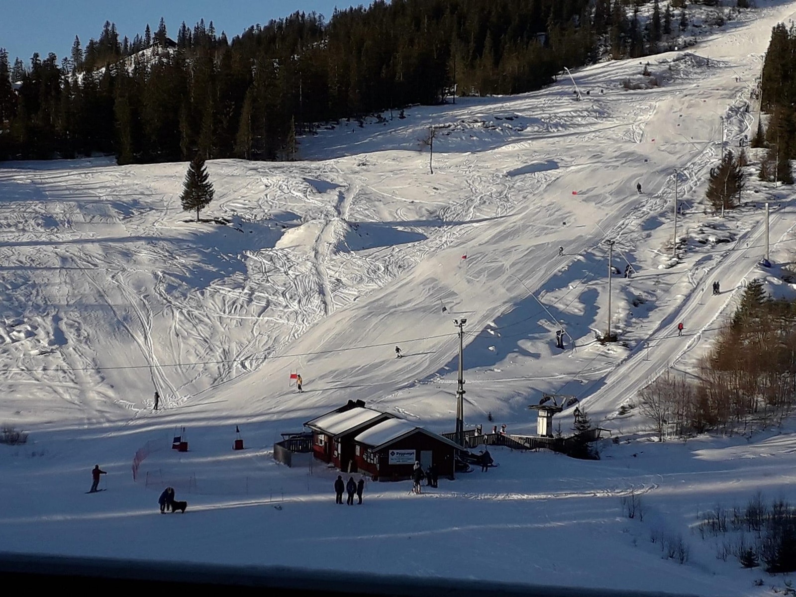 Alpinbakke, barnebakke, terrengpark og kafeteria Galleribilde