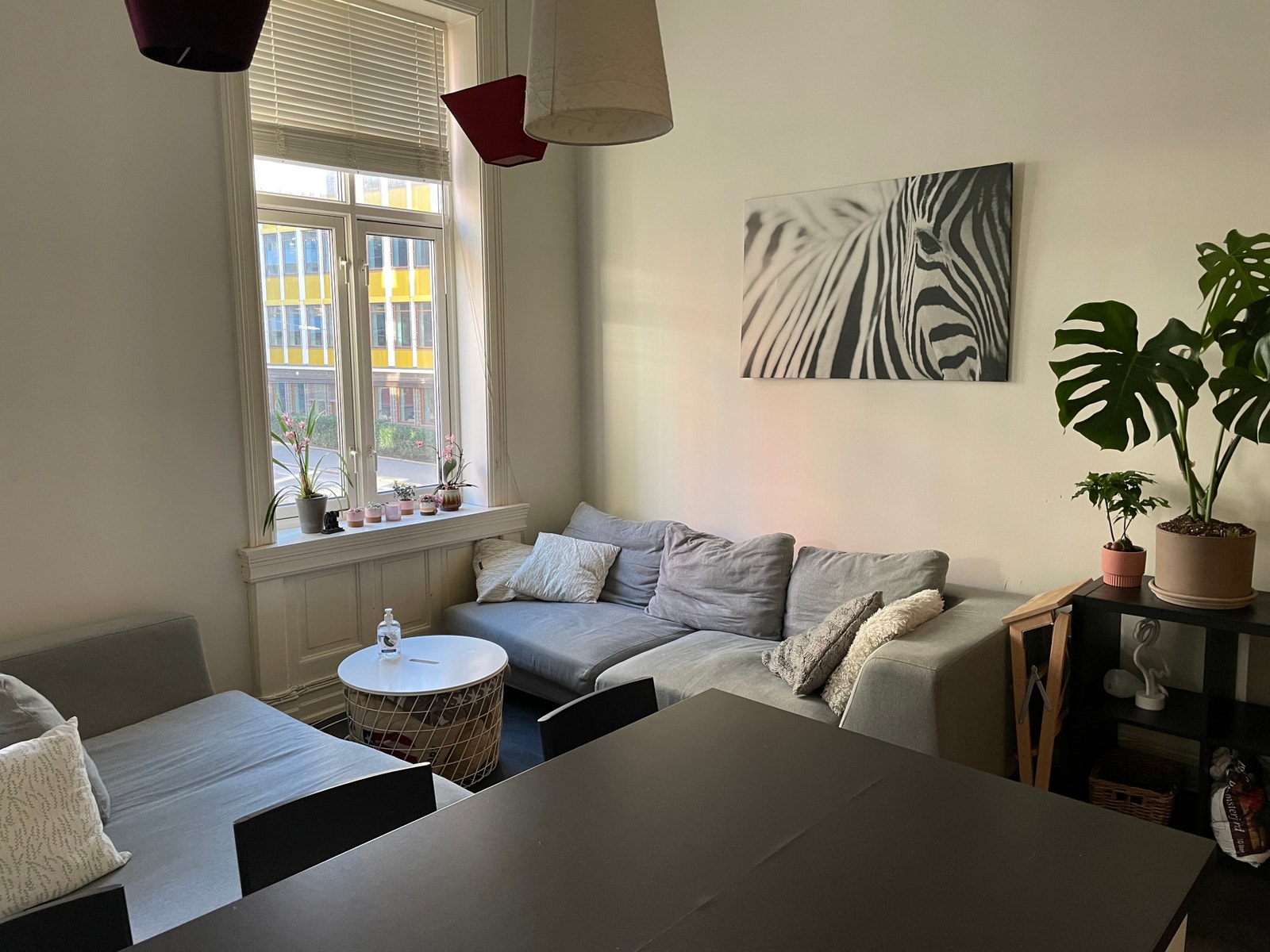 Fellesareal (kombinert stue og kjøkken) Galleribilde