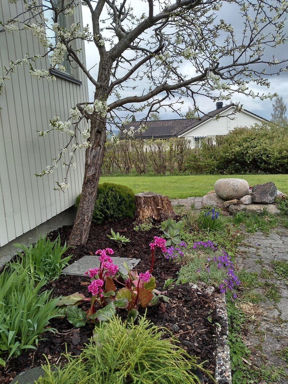 sommerbilder Galleribilde