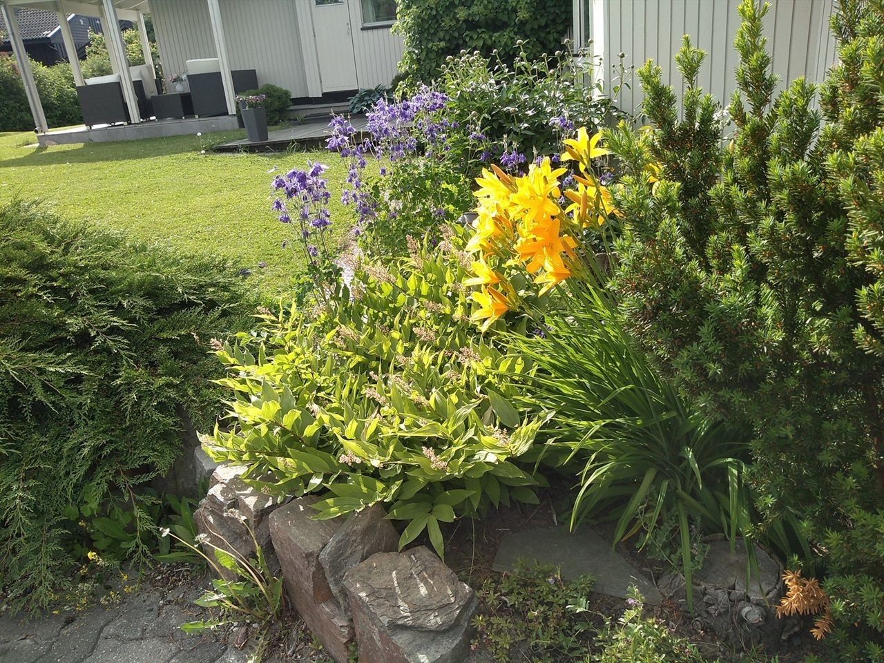 sommerbilder Galleribilde