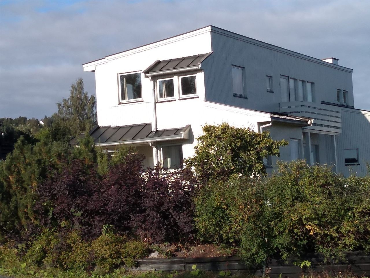 sommerbilder Galleribilde