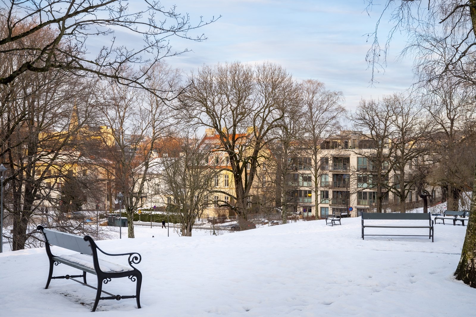 Idylliske St. hanshaugparken. Leilighetsbygget i bakgrunnen Galleribilde
