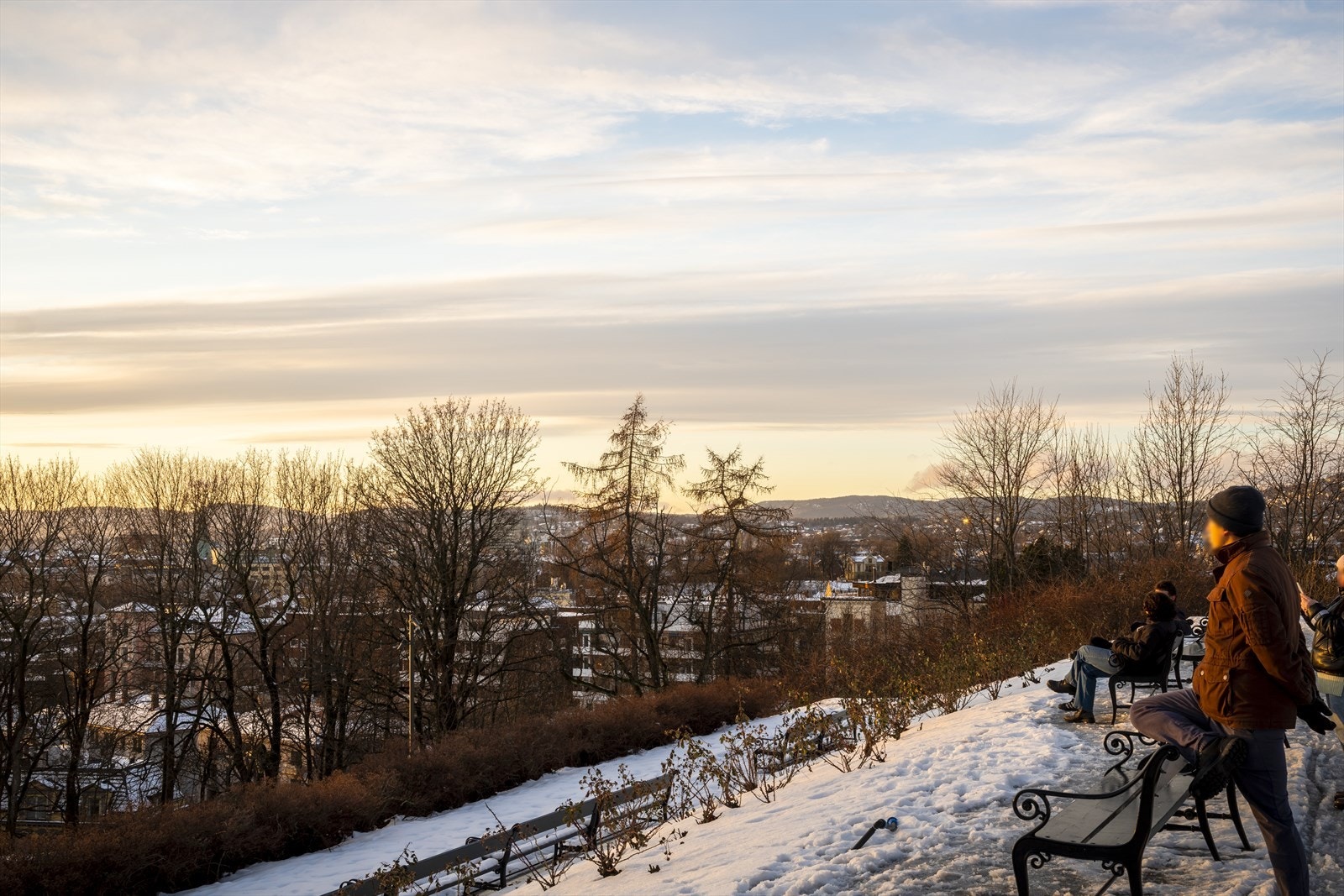 Øverst i parken Galleribilde