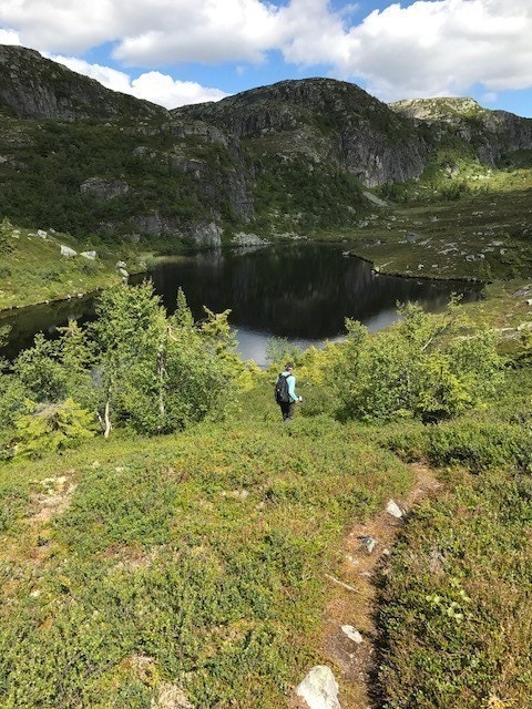 Turområde Galleribilde
