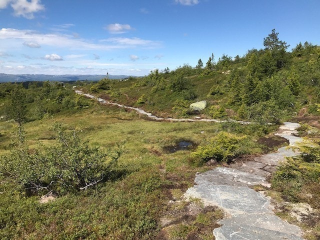 Sherpabygget steinsatt sti i fjellet.Stien til Madonnaen ved Trillemarka ble i september 2018 kåret til Norges mest publikumsvennelige turrute. Galleribilde