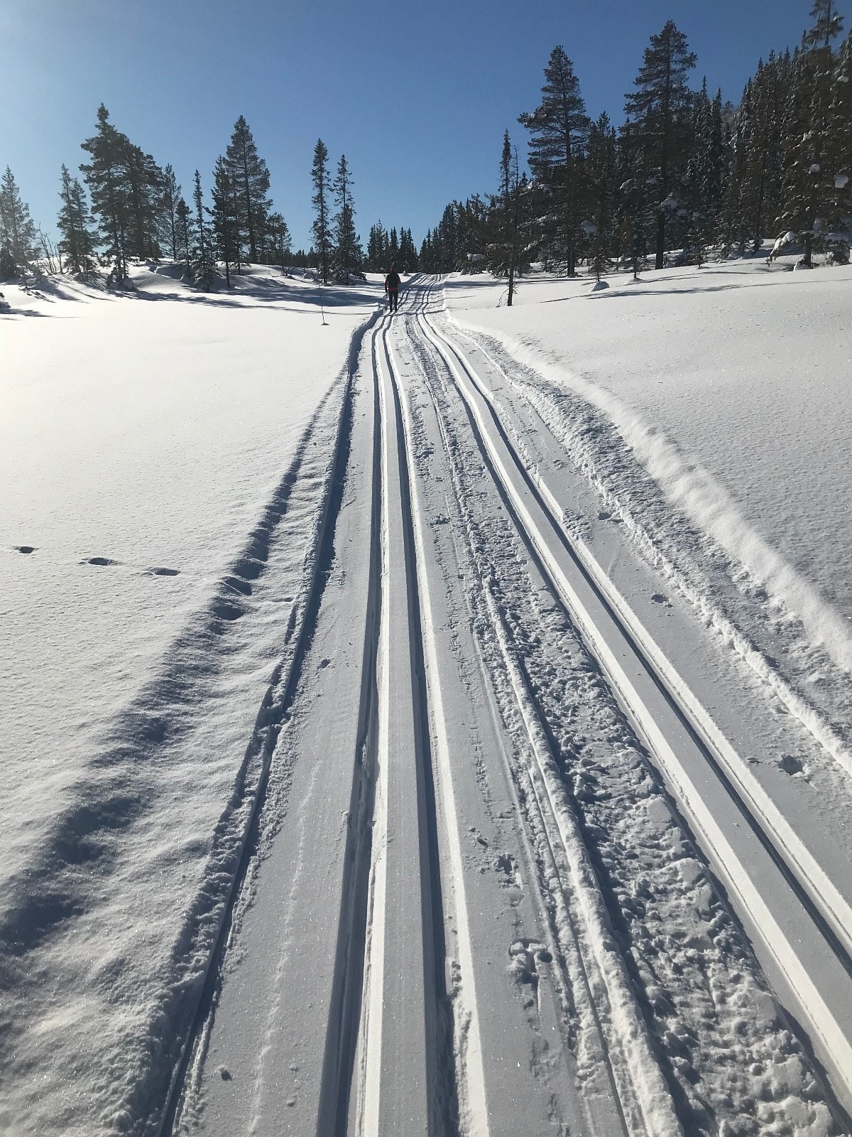 Skiløyper prepareres regelmessig. Galleribilde