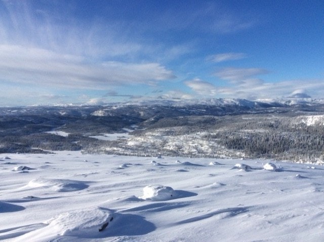 Skiterrenget med kjørte skiløyper, se kart Galleribilde