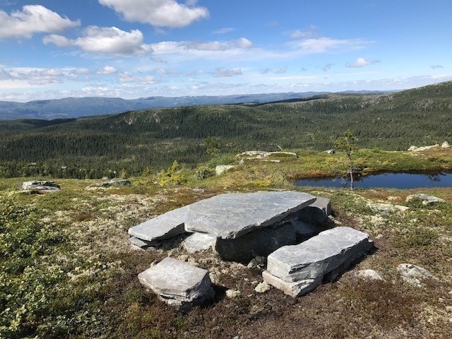 Flotte rasteplasser i turterrenget Galleribilde