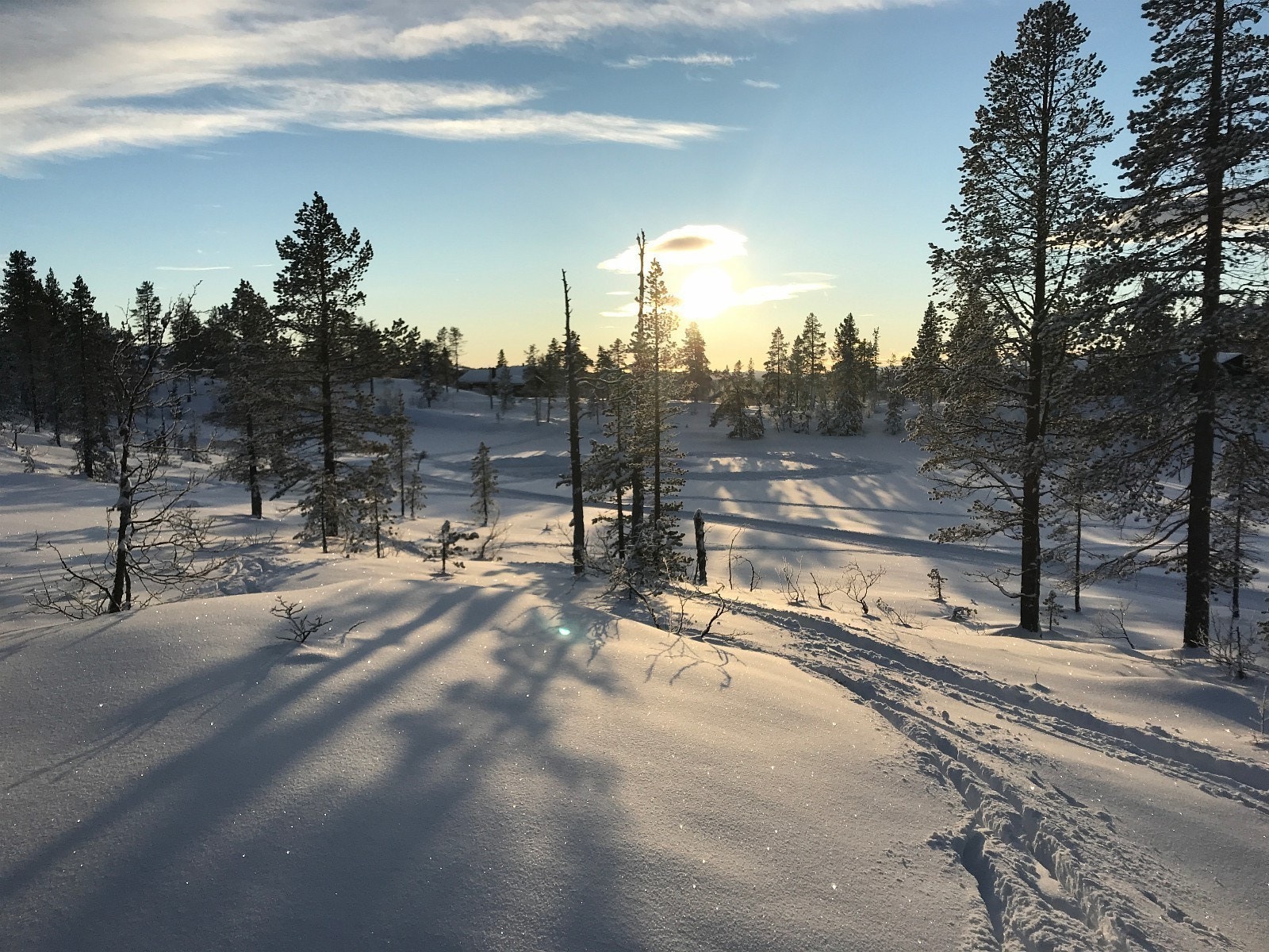 Område Galleribilde