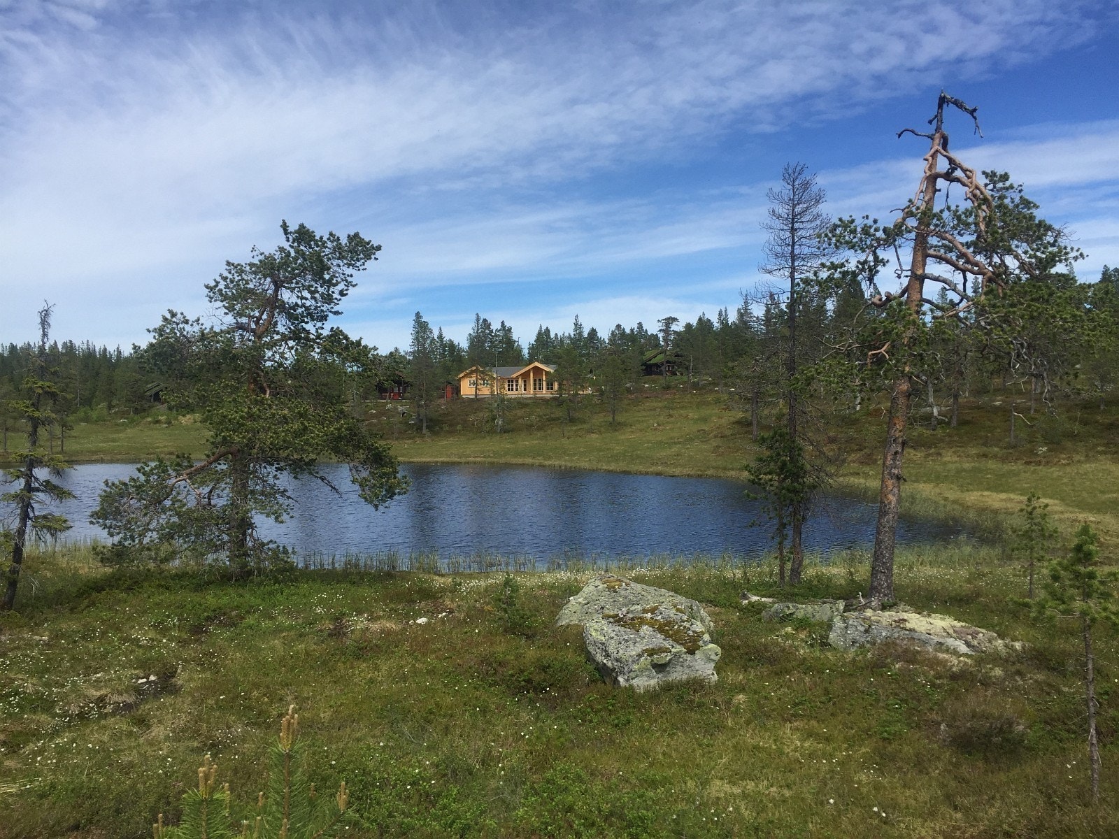 Mange vann i området Galleribilde