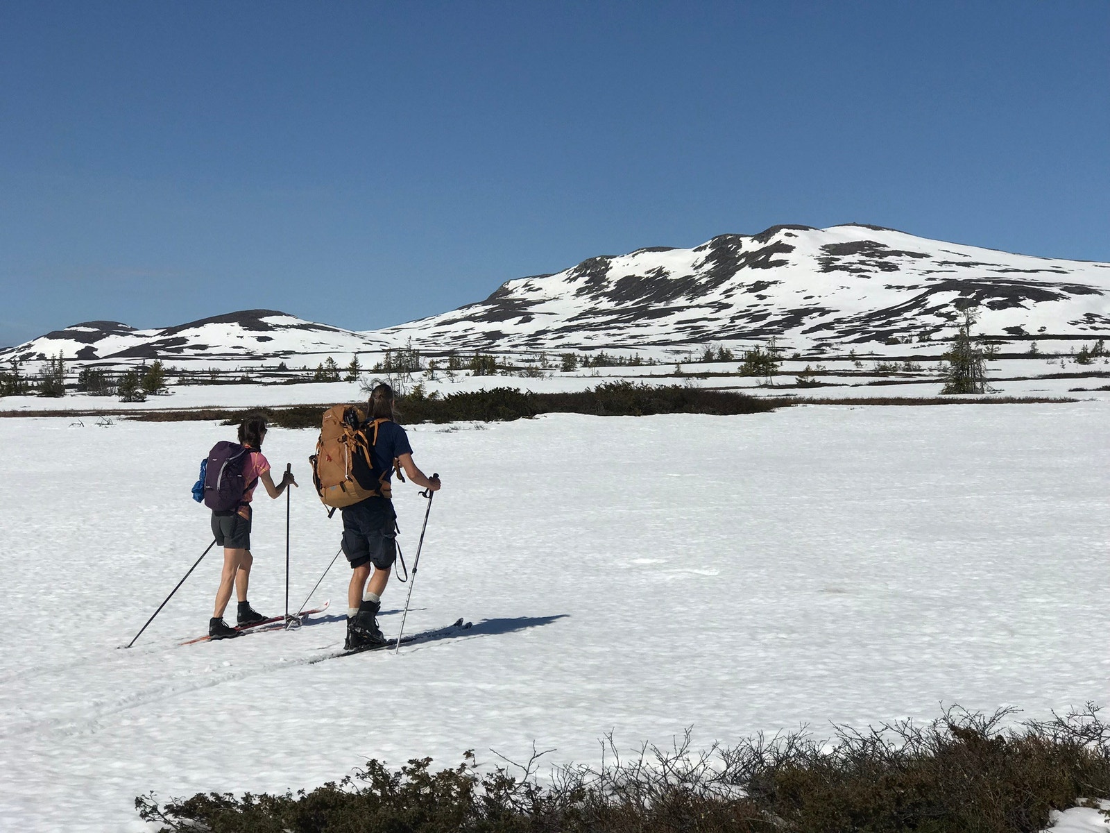 Vårskitur i midten av mai Galleribilde