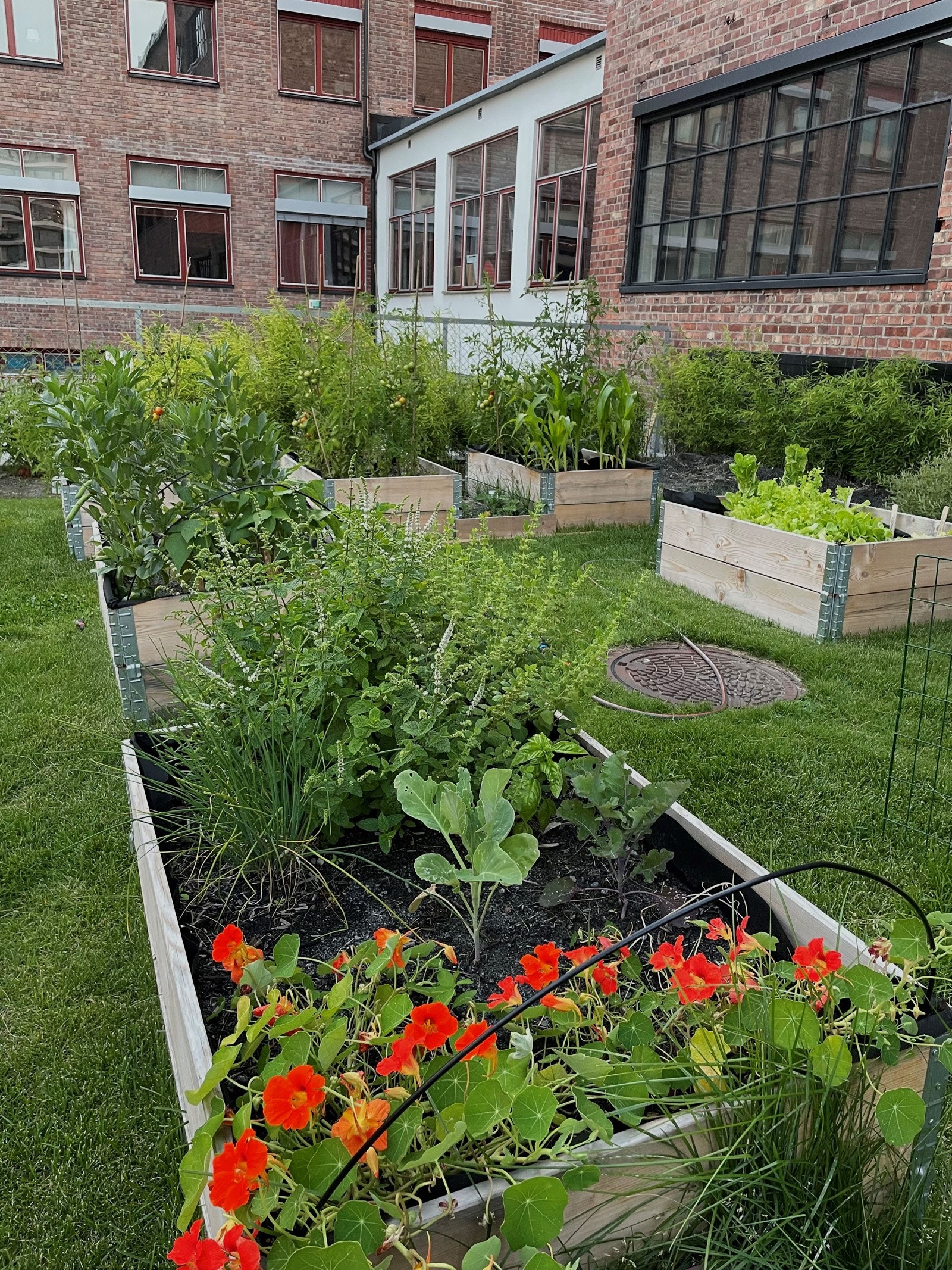 Selgers bildet. Galleribilde