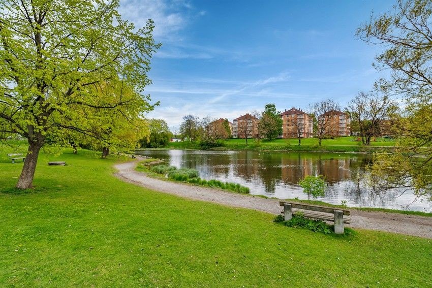 Populært og frodig ved Hovindammen. Galleribilde