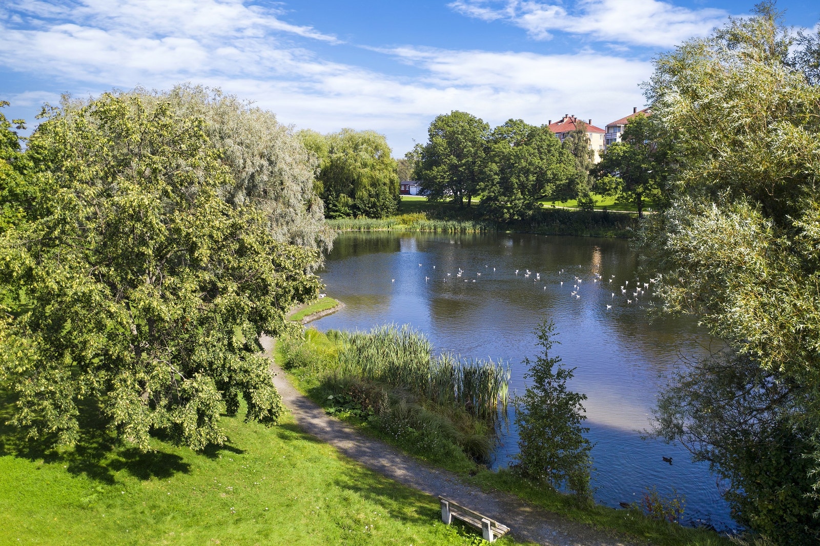 Andedammen ligger idyllisk til ved Hovin med gangstier på kryss og tvers. Galleribilde