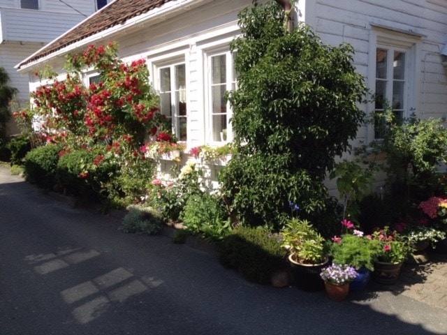 Sommerstemning. Galleribilde