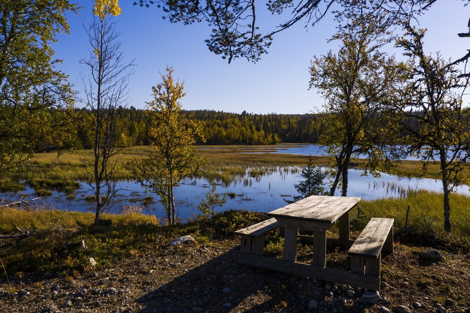 Hyggelig rasteplass ved Gampetjern Galleribilde