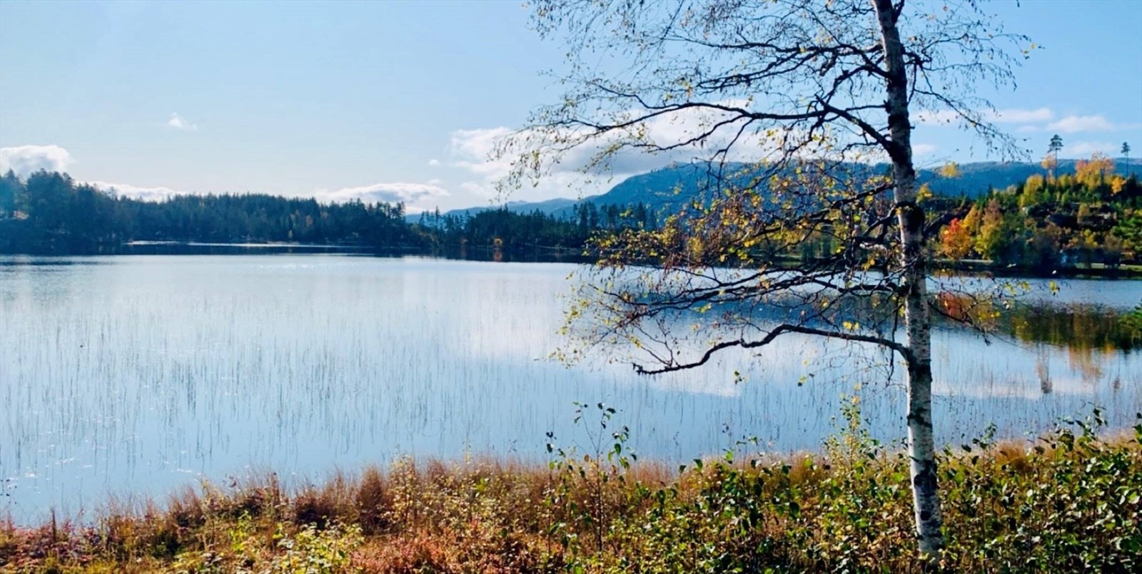 Gampetjern i flotte høstfarger Galleribilde