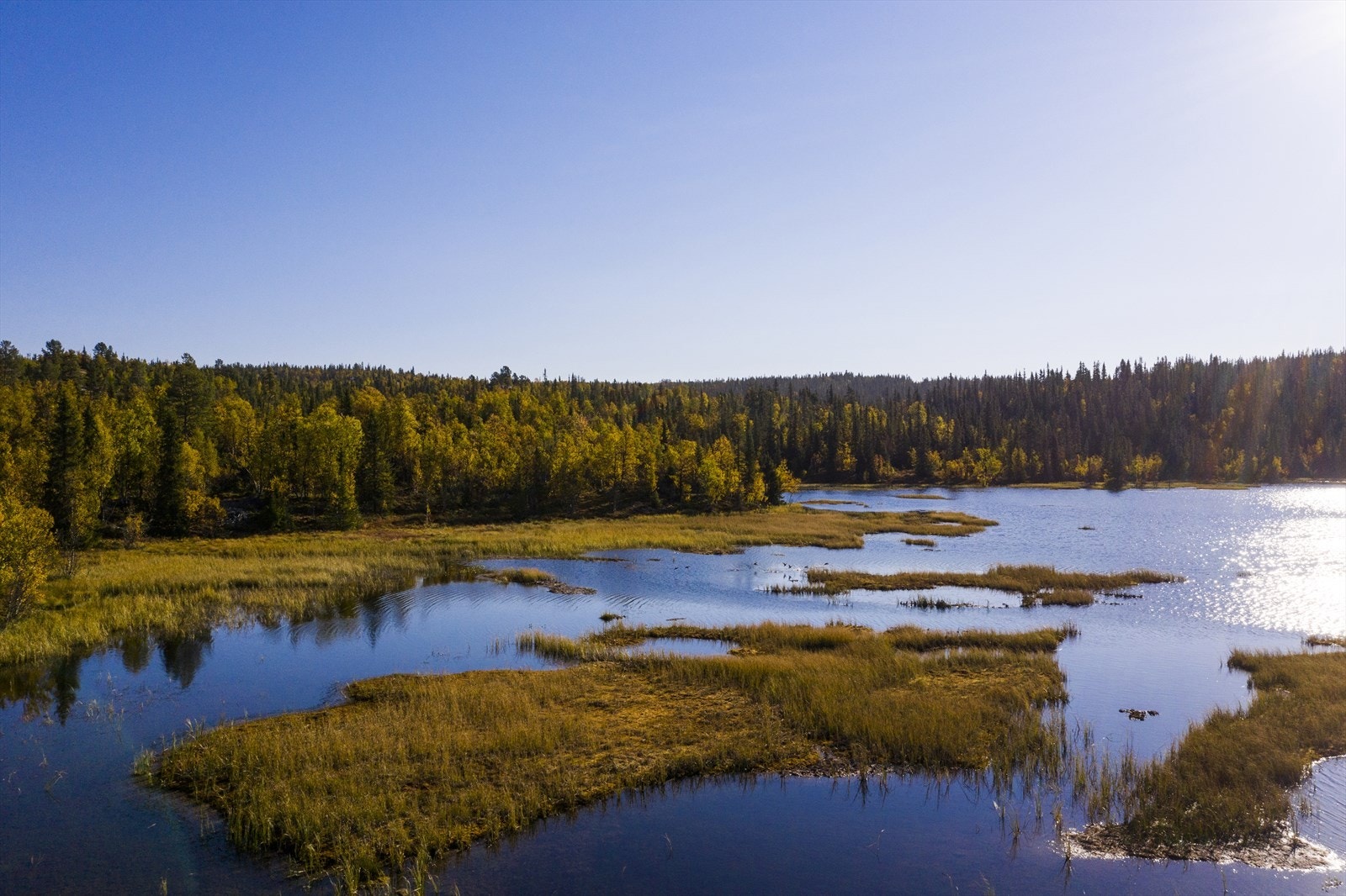 Gampetjern Galleribilde