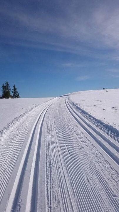 Flotte skiløyper i umiddelbar nærhet Galleribilde