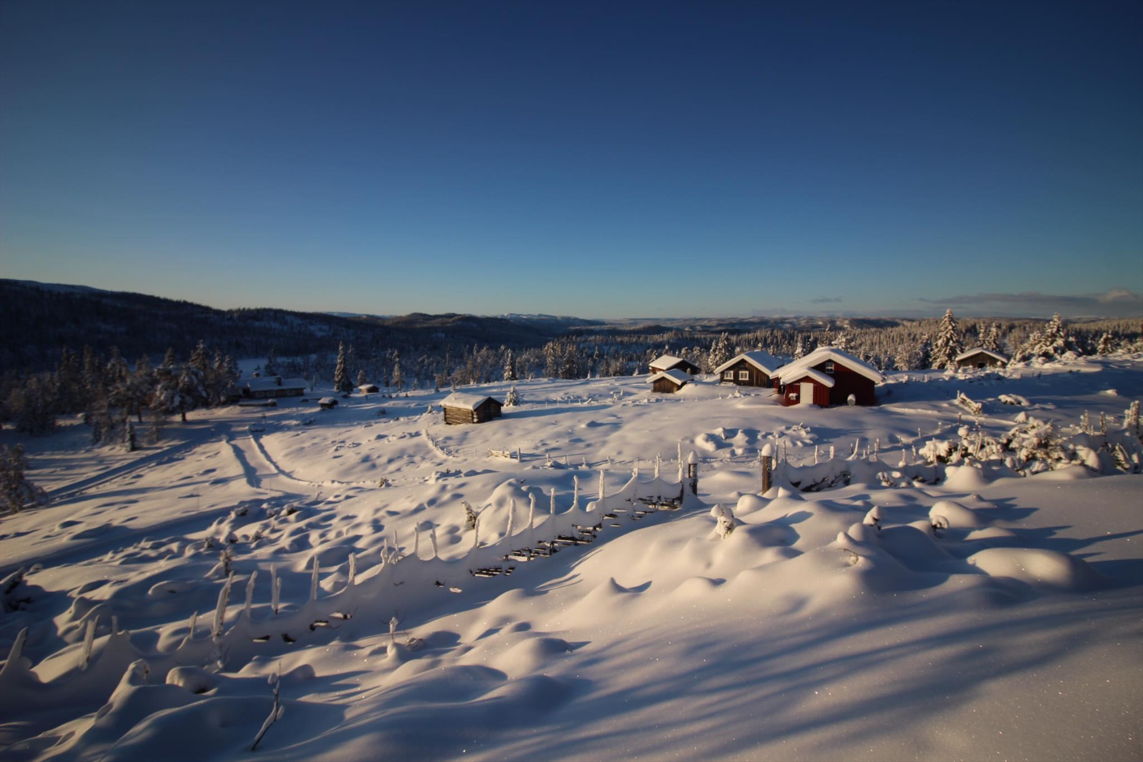 Vinter på Syningset Galleribilde
