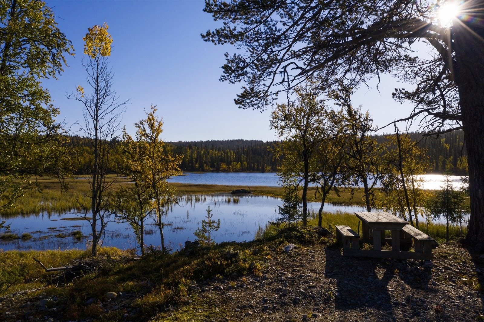 Gampetjern er ett av flere gode bade- og fiskevann i området. Galleribilde