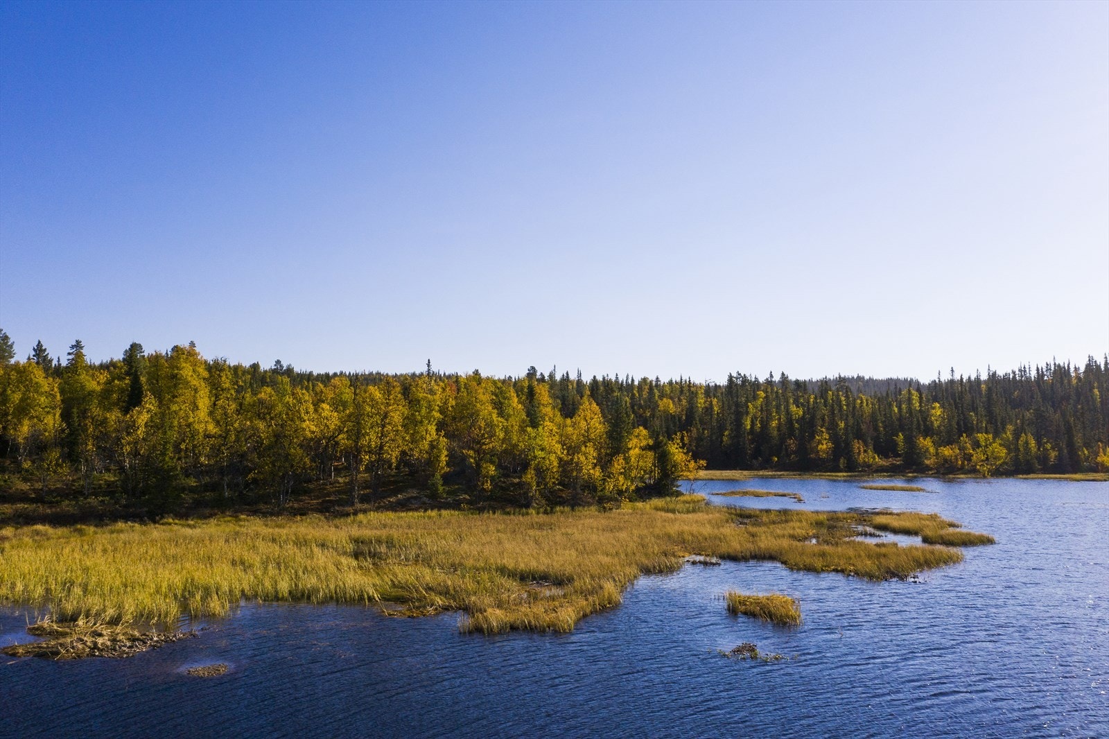 Gampetjern Galleribilde